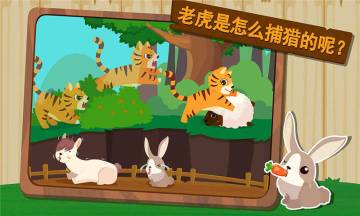 森林动物介绍图