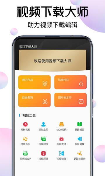 视频下载大师介绍图