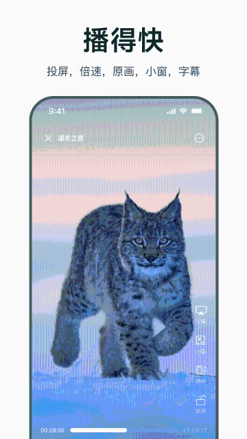 迅雷浏览器介绍图