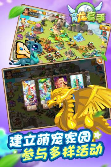 育龙高手介绍图